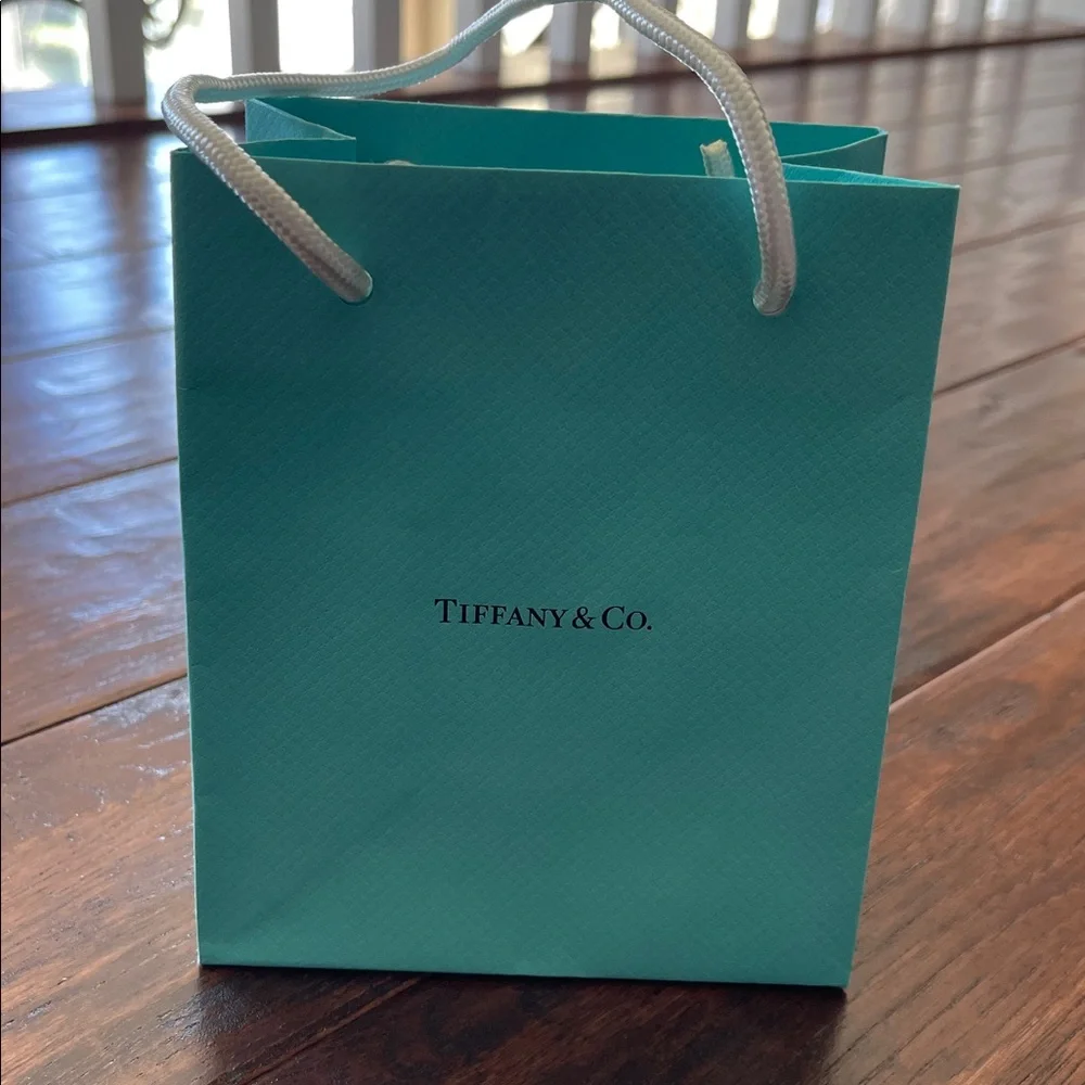 Tiffany Shopping Bag, Jewelry Bag, Blue Box & Envelope - NWT - Picture 2 of 11